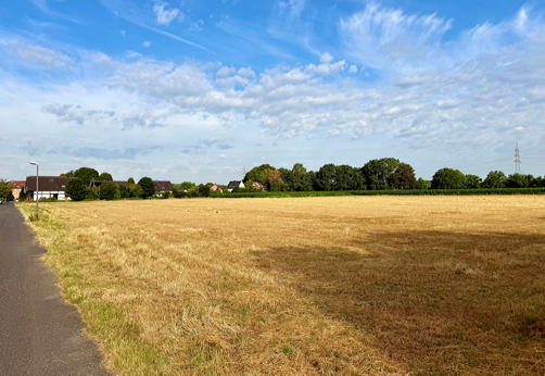 Neues Baugebiet in Sickingmühle kommt