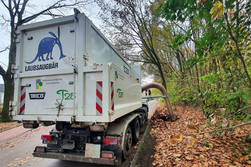 Laubsaugbär im Einsatz: Blätter entsorgen einfach anders