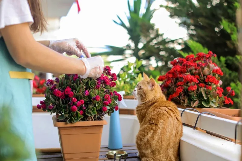 🌿Von der „grünen Hölle“ zur Wohlfühloase