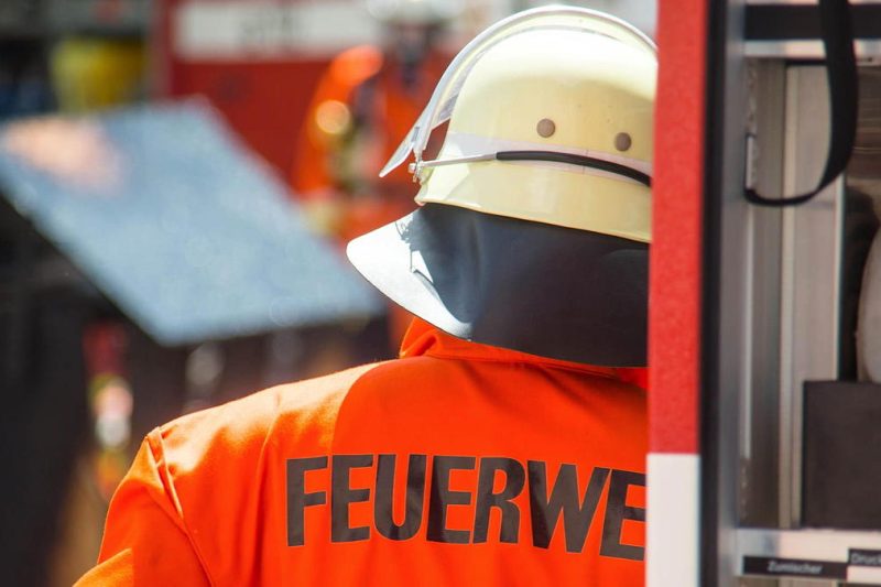 Feuerdrama in Marl: Zwei Katzen aus Wohnung gerettet